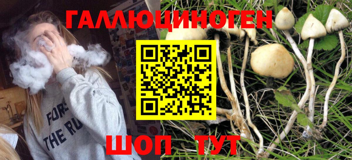 Галлюциногенные грибы GOLDEN TEACHER Коломна